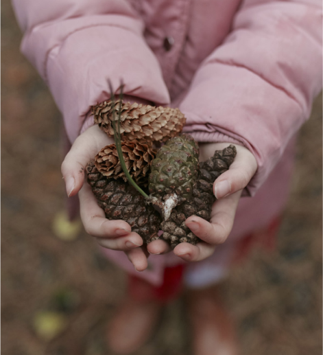 Girl holding Pine Cones