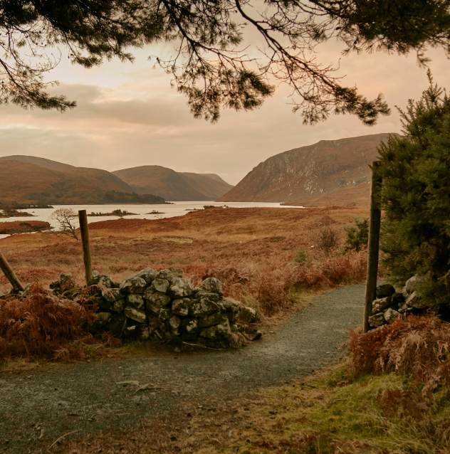 Derrylahan Nature Trail