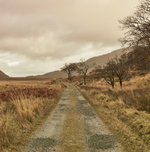 Glen (Bridle Path) Walk