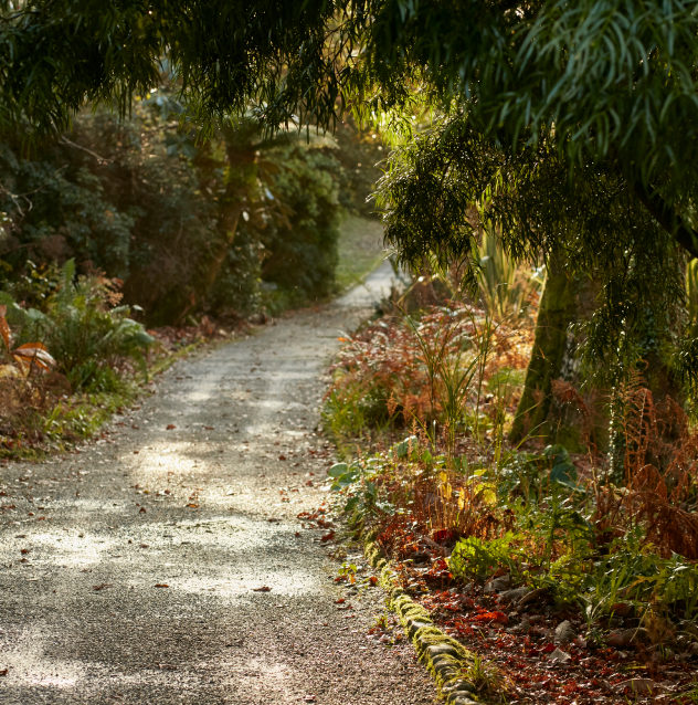 View Point Trail