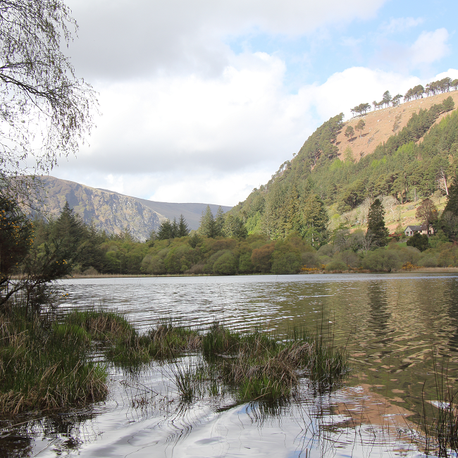 View of the Lower Lake