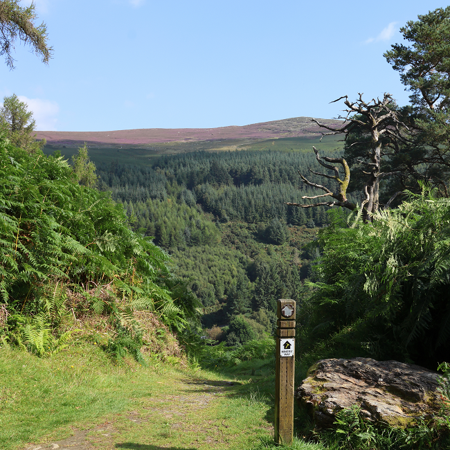 Silver trail view point.