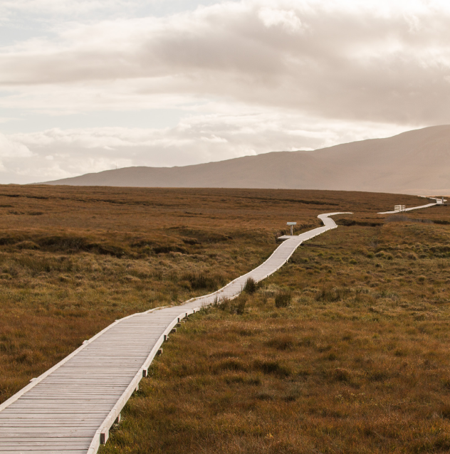 Boardwalk