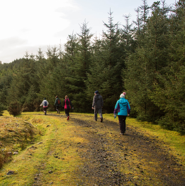 Track at Lough Aroher Loop