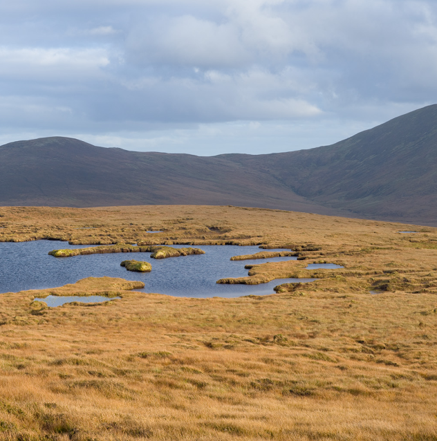 Scenery from the Bangor Trail