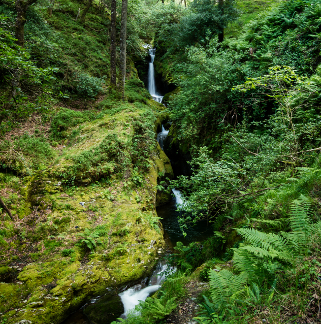 Poulanass Waterfall