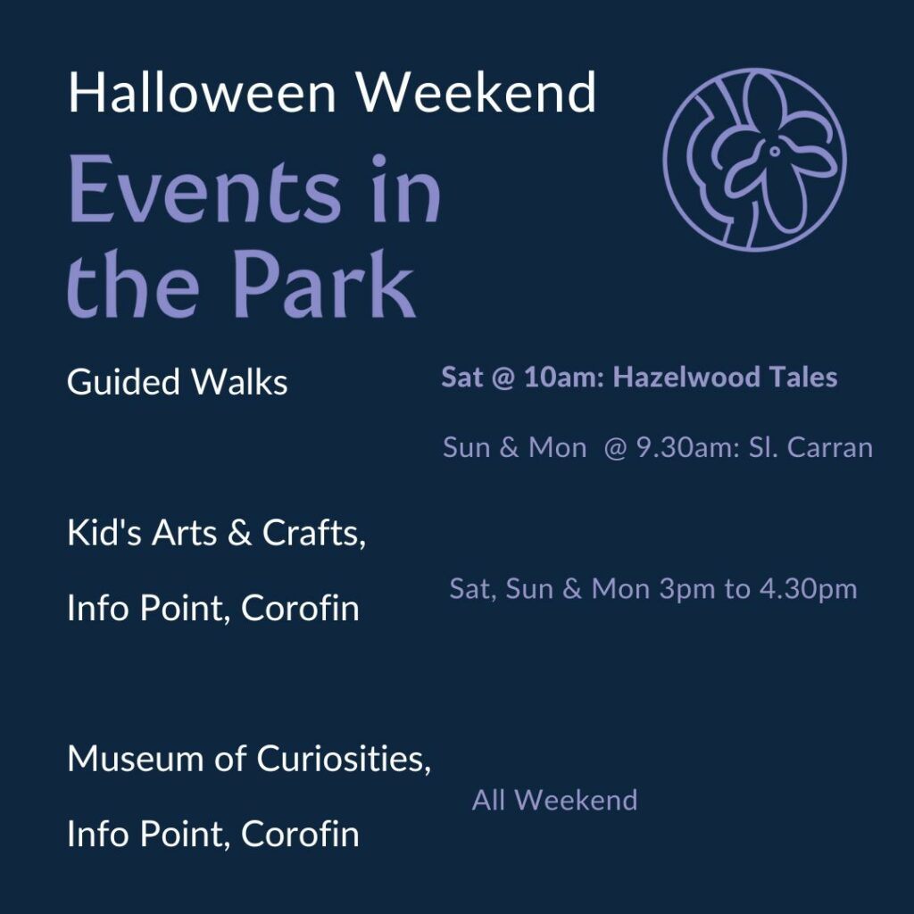 Halloween Event Poster - Burren