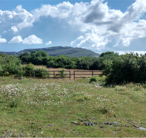 Páirc Náisiúnta Bhoirne