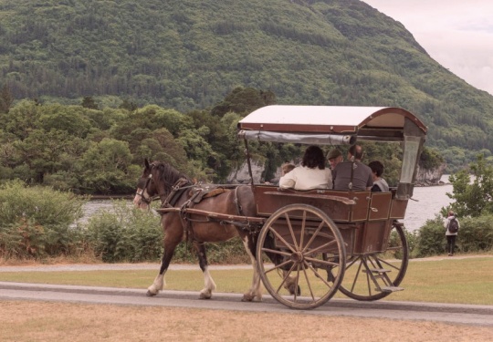 Jaunting Car