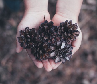 Cóin phéine sna lámha 