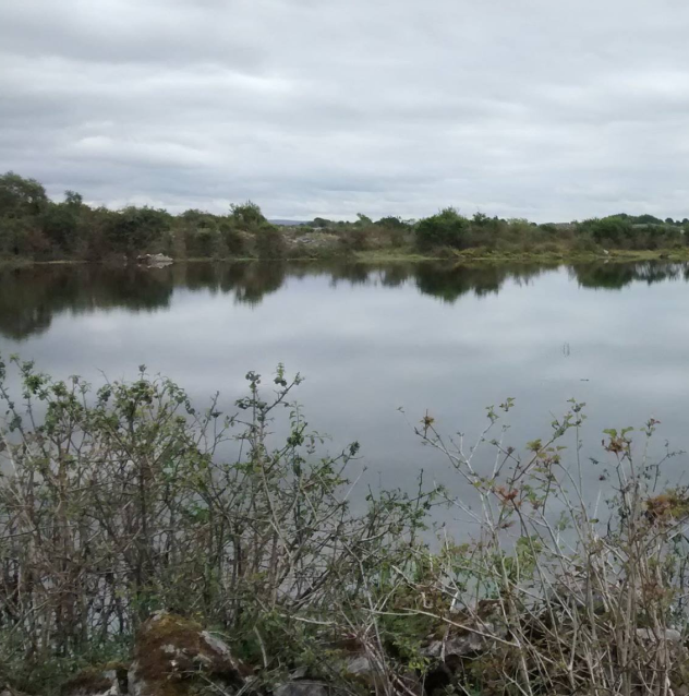 Knockaunroe Turlough