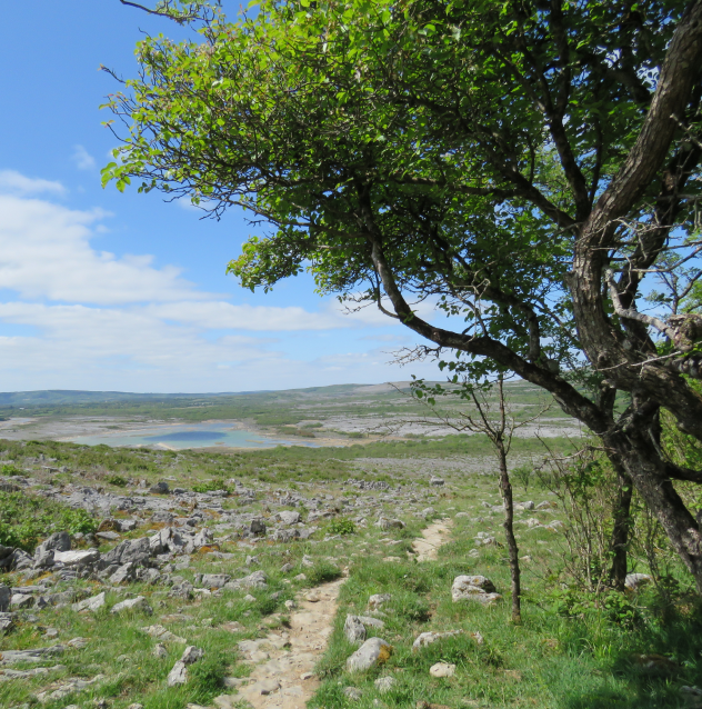 Lough Gealáin (distance)