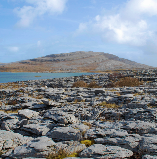 Limestone Pavement