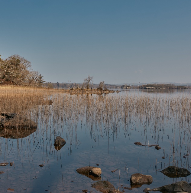 Lakeshore