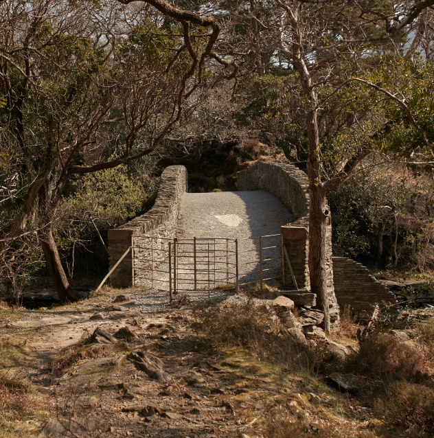 Foot Bridge