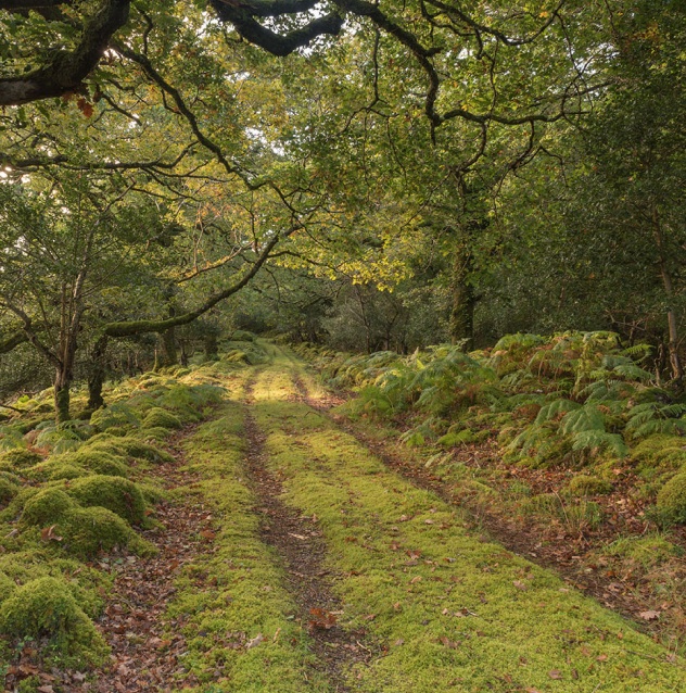 Cloghereen Guided Nature Trail