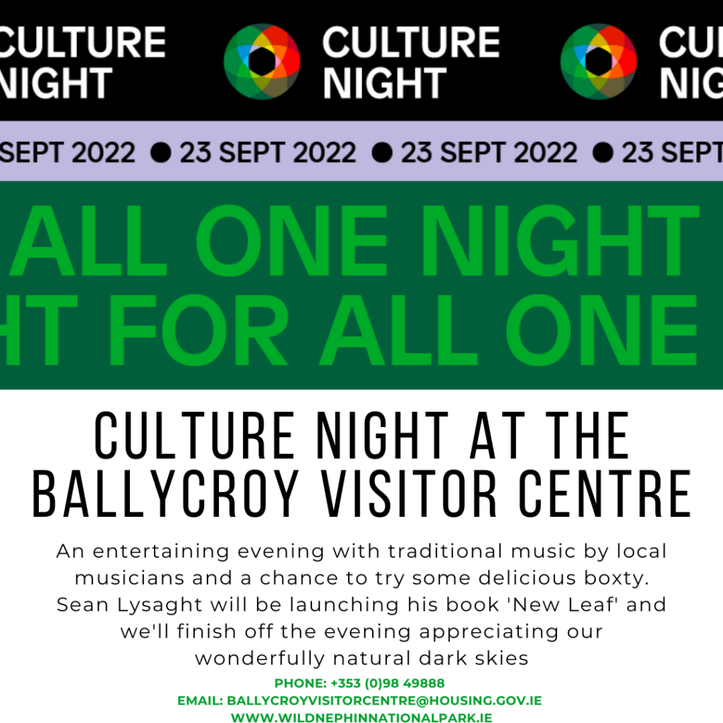 Culture Night 2022