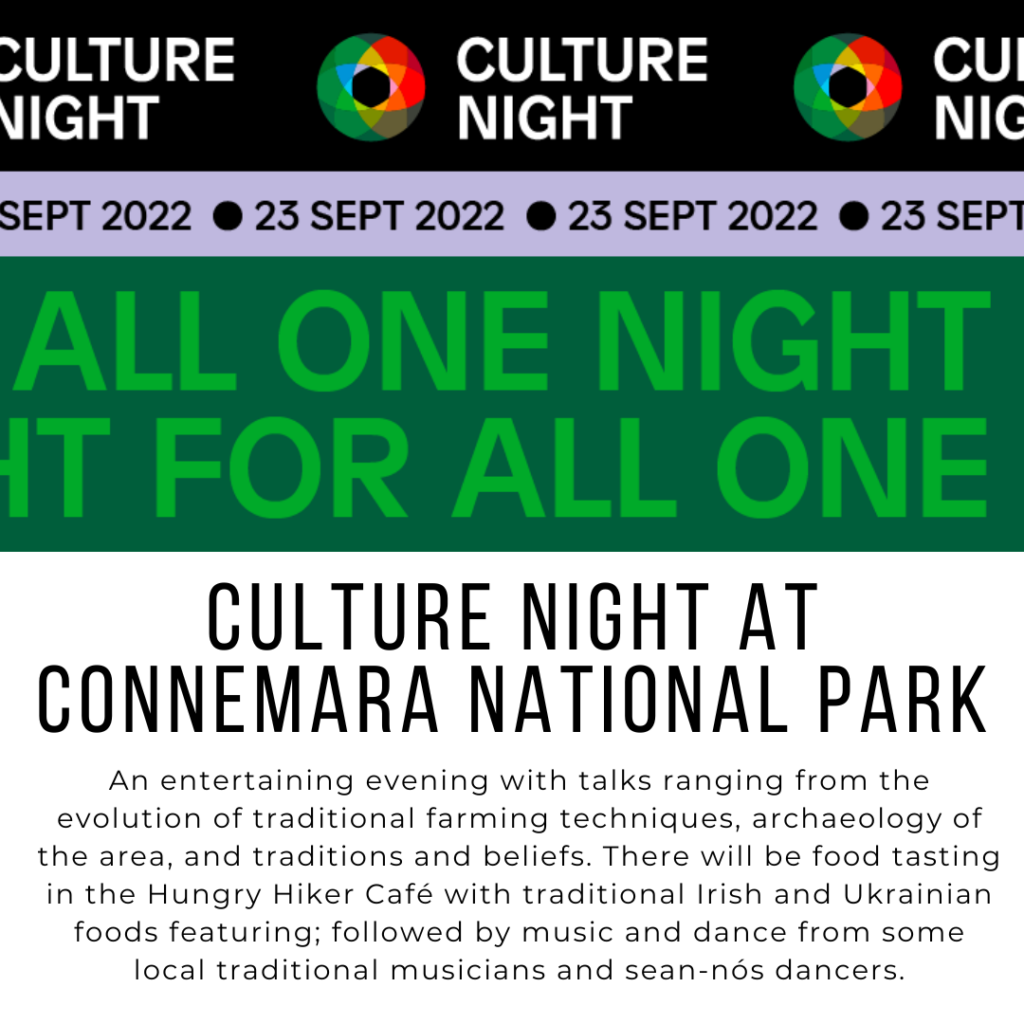 Connemara Culture Night