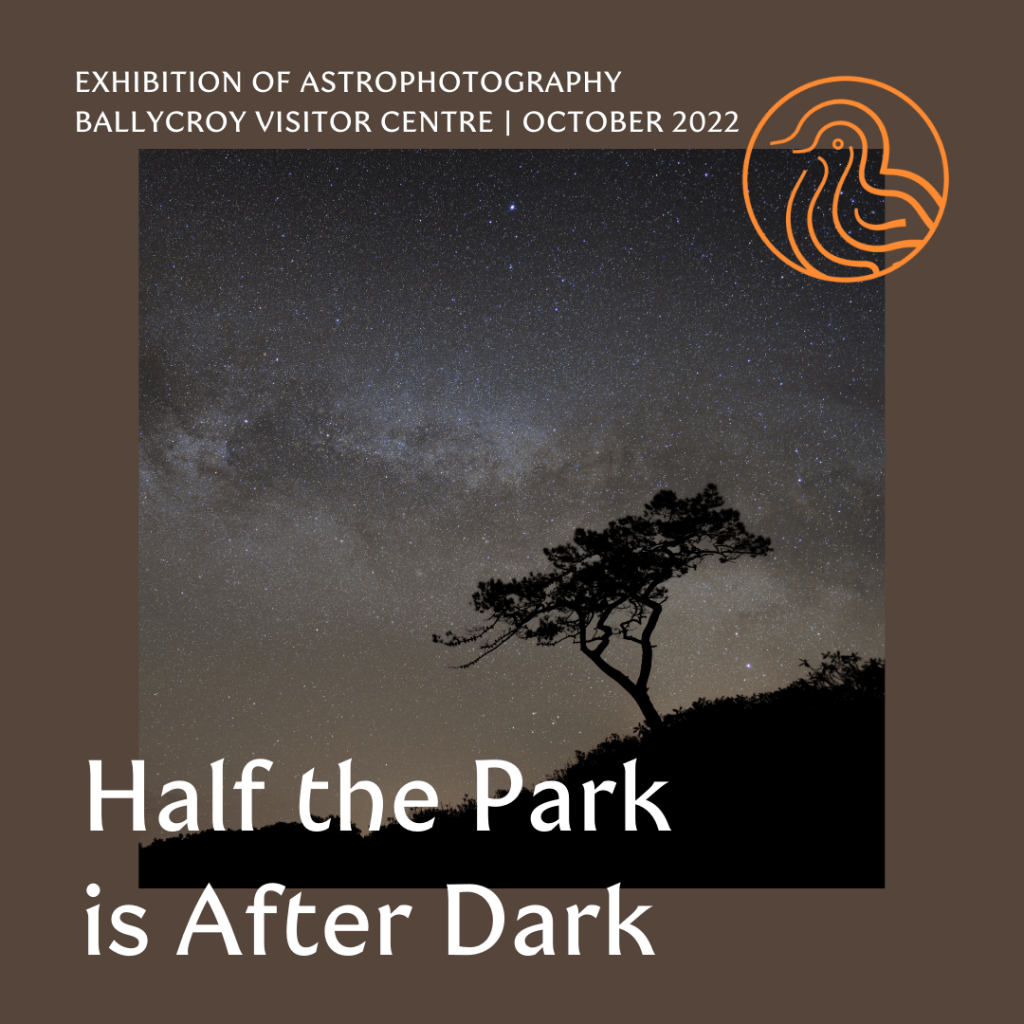 Half the Park is After Dark