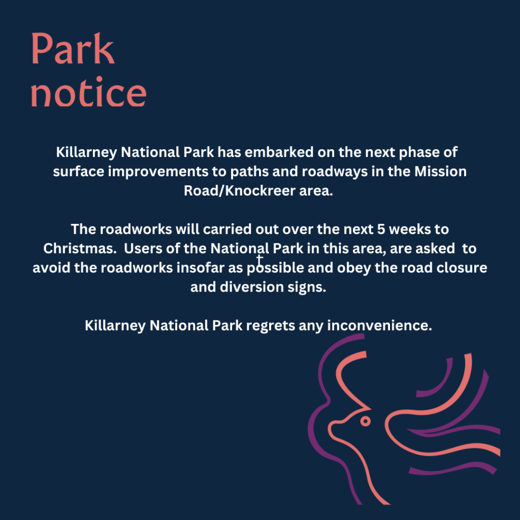 Knockreer Road Works