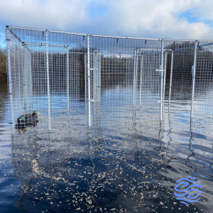 Duck Trap with Duck