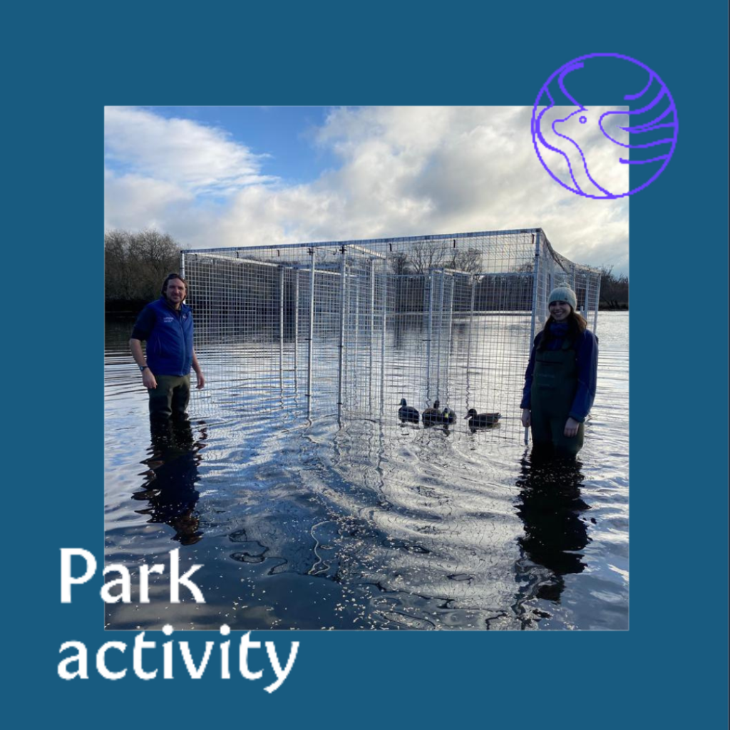 Sam and Mary with Duck Traps