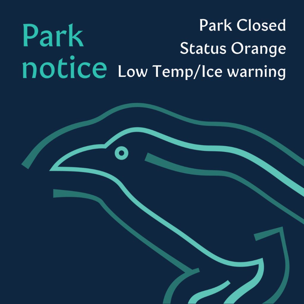 Low Temperature / Ice Warning