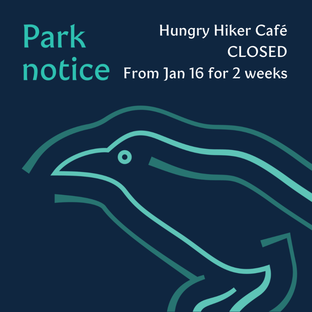 Cafe closure notice