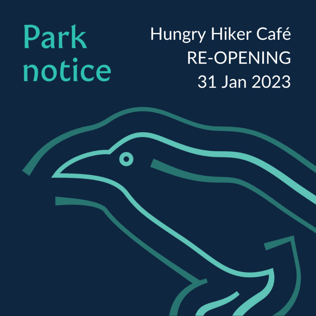 cafe reopening notice