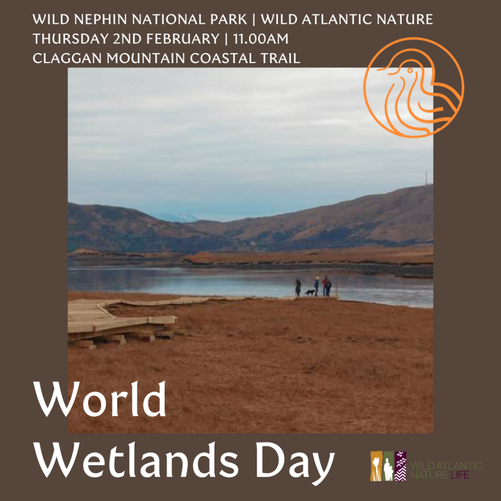 world wetlands day event notice