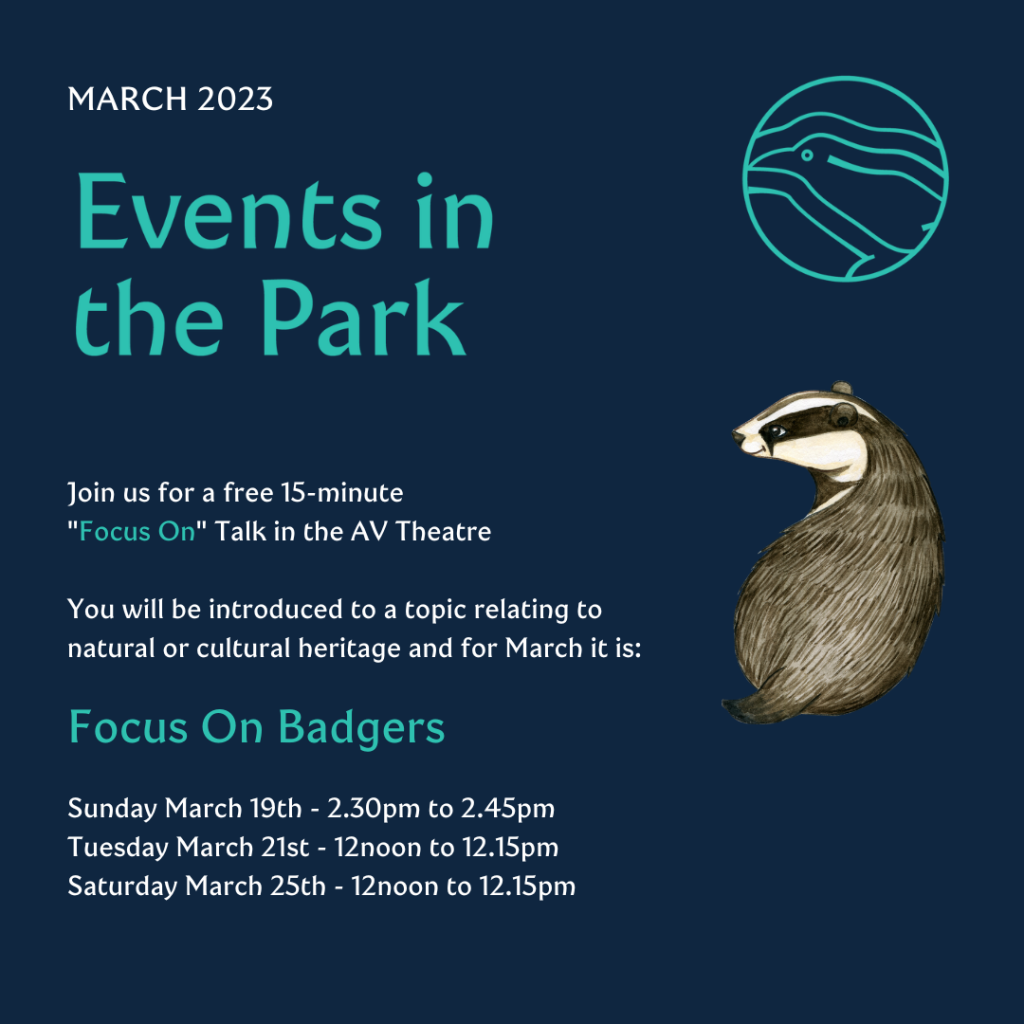 focus on badgers - list of times for free 15 minute talks