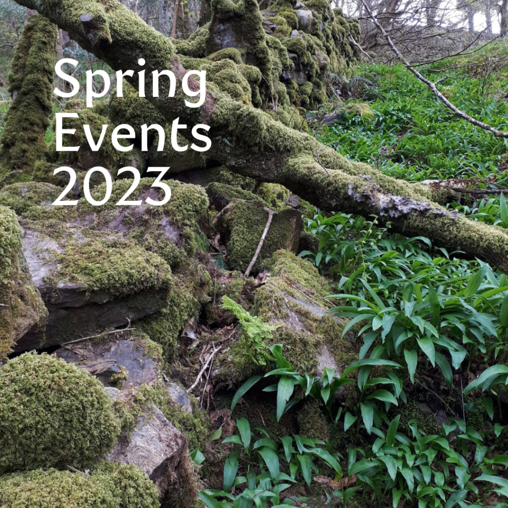 spring events notice with wild garlic and mossy wall