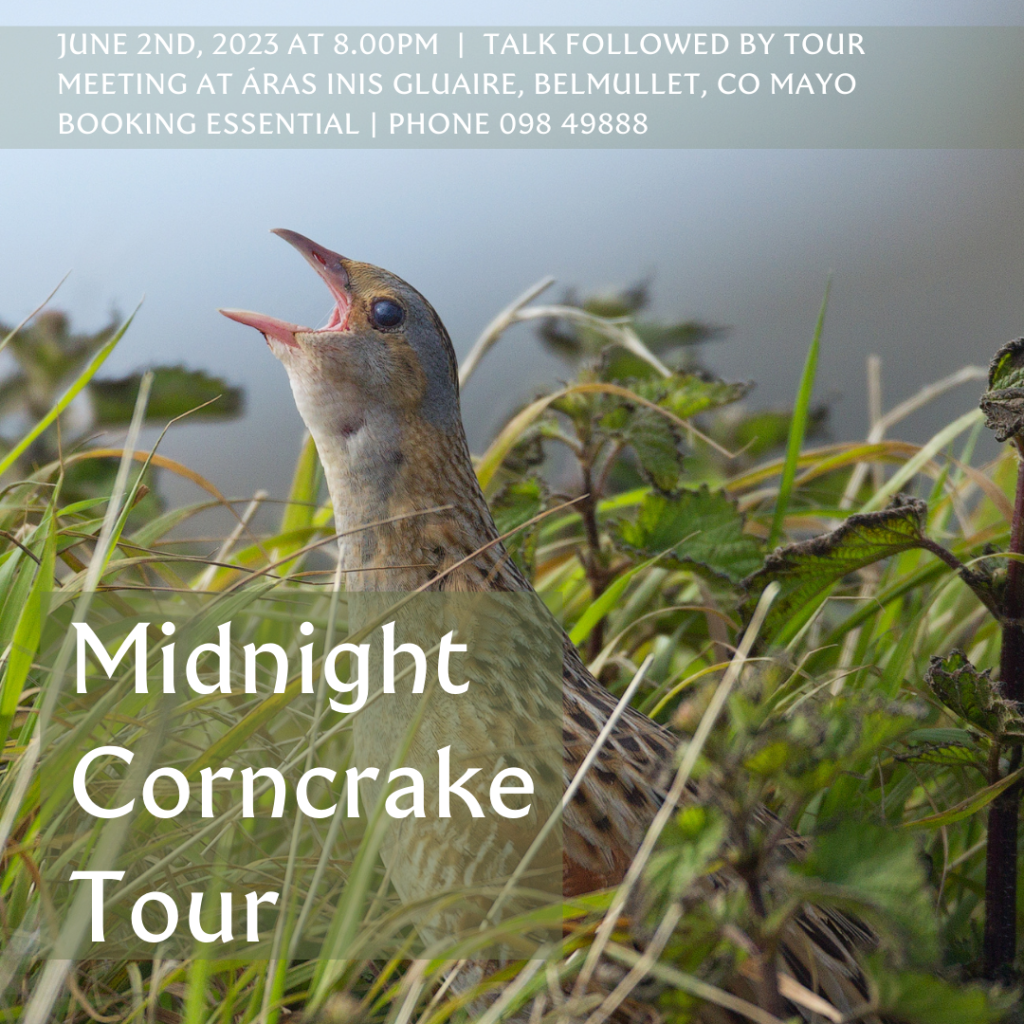 corncrake tour notice