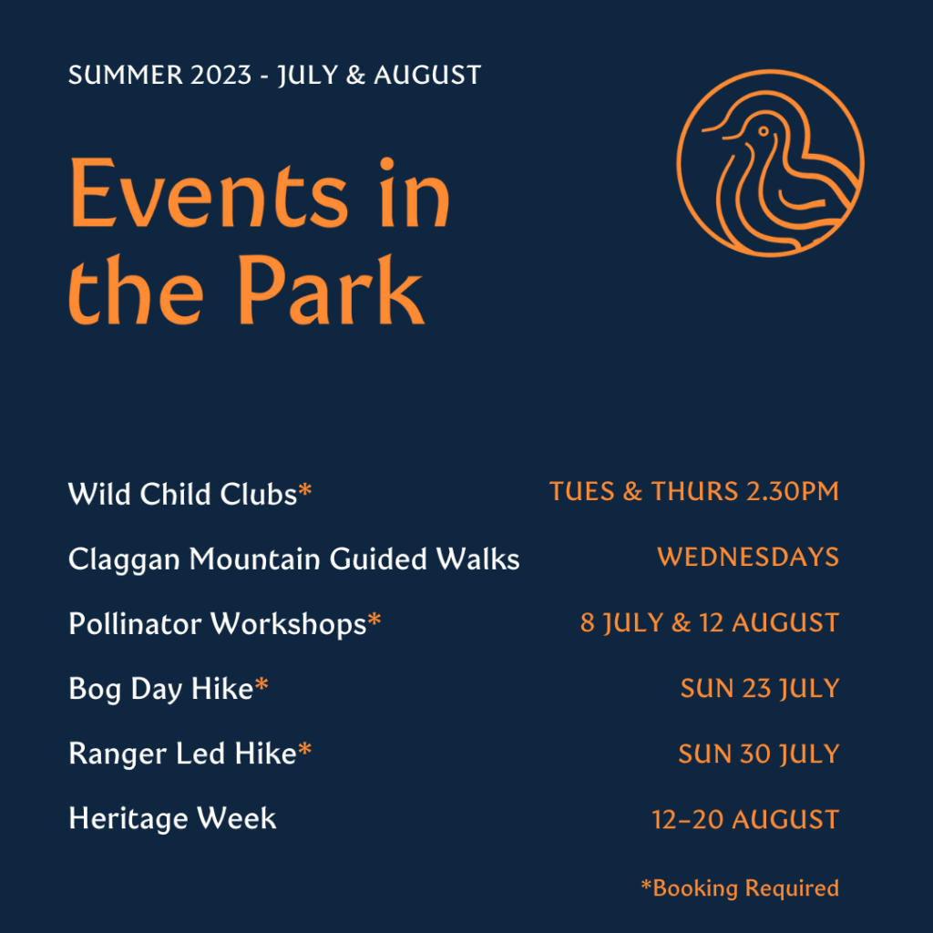 summer events notice