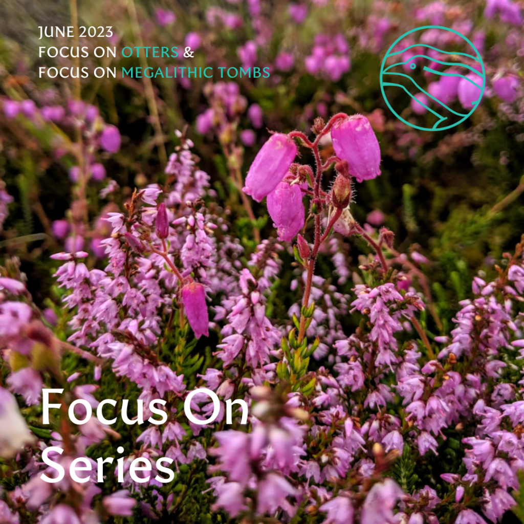 focus on series june 2023 notice