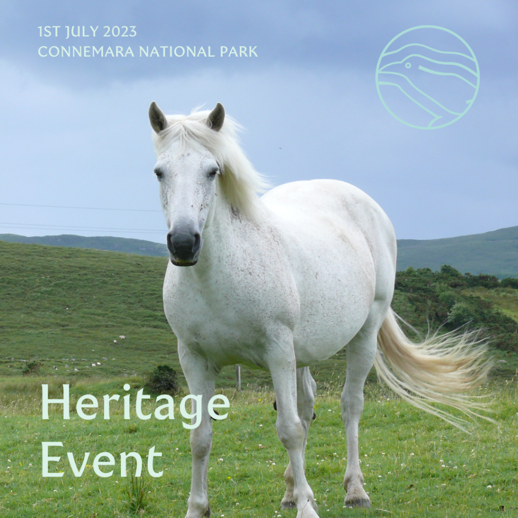Connemara Pony in Heritage event notice