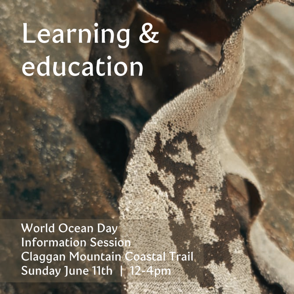 world ocean day event notice