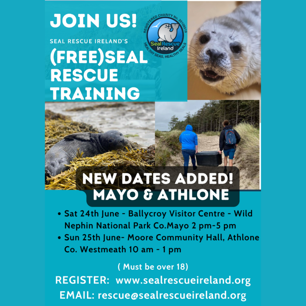 seal rescue training poster with details of workshops to be held in both Mayo and Athlone
