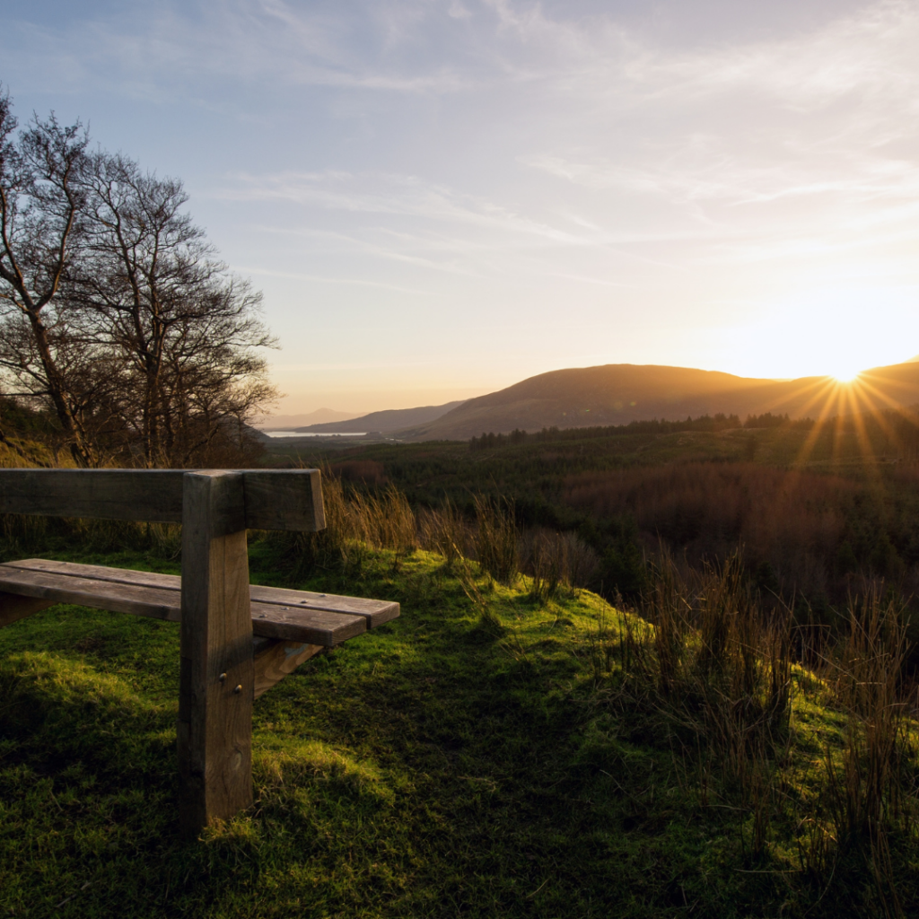 bench at nephin forest view point at sunset
