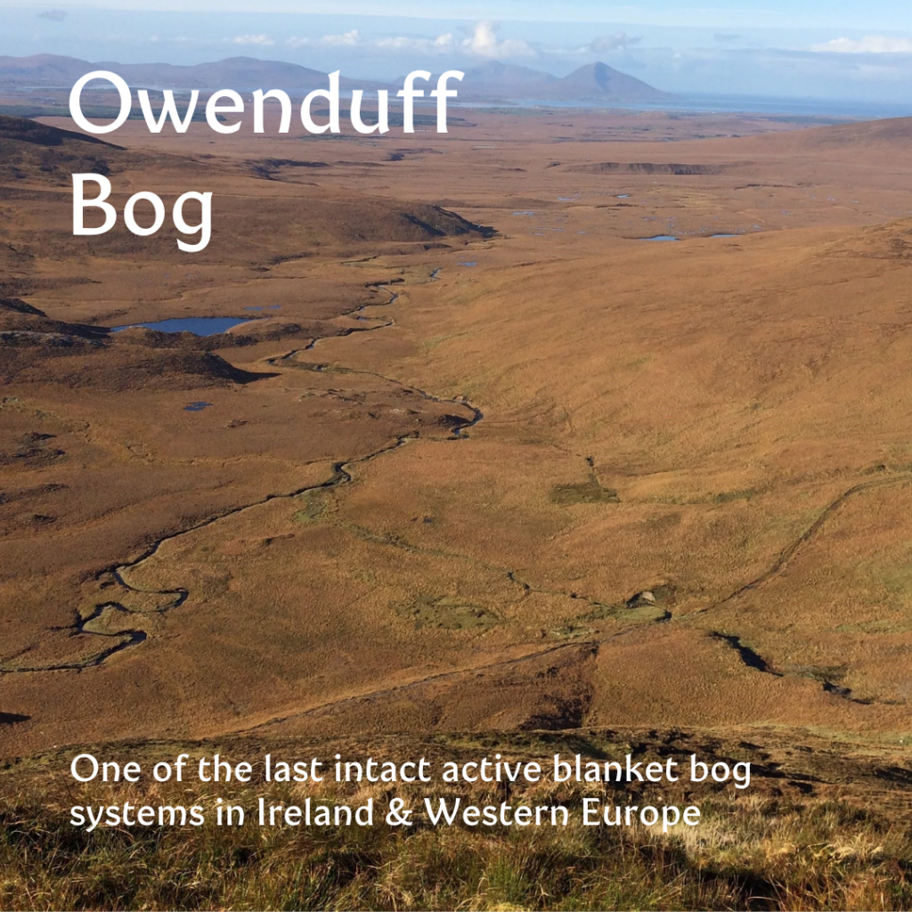 owenduff bog with achill island and the atlantic coastline in the background
