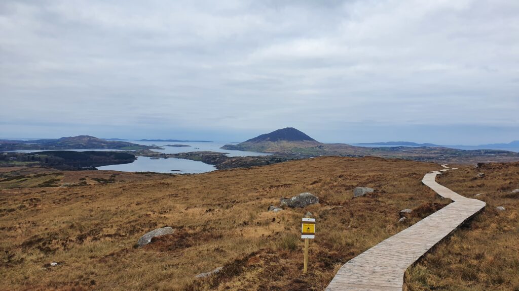 Pathway along the Blue Trail on Diamond Hill
