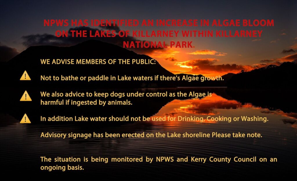 Notice of Increased Algae Bloom in Killarney Lakes