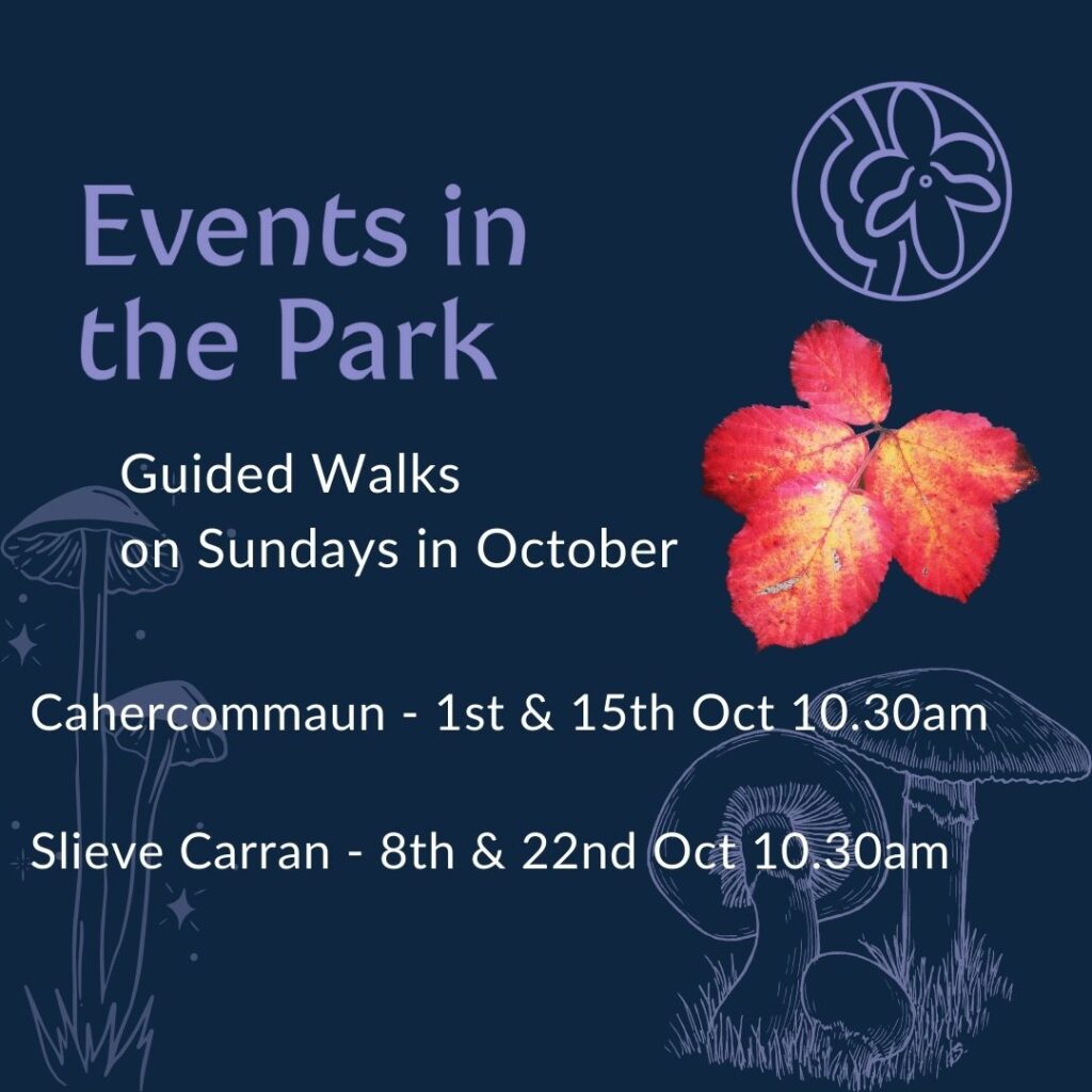 Events in the Park Guided Walks Sundays in October