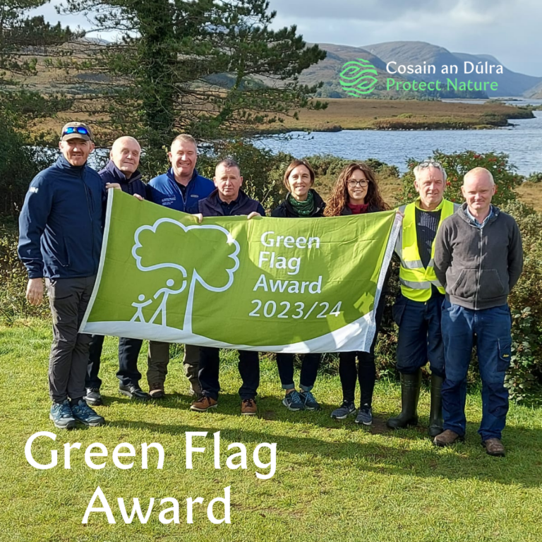 Green Flag Glenveagh