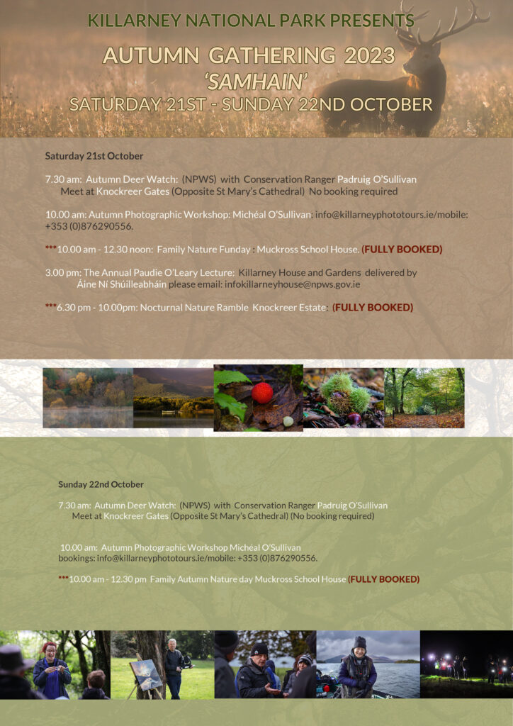 Autumn Gathering 2023 Samhain Events