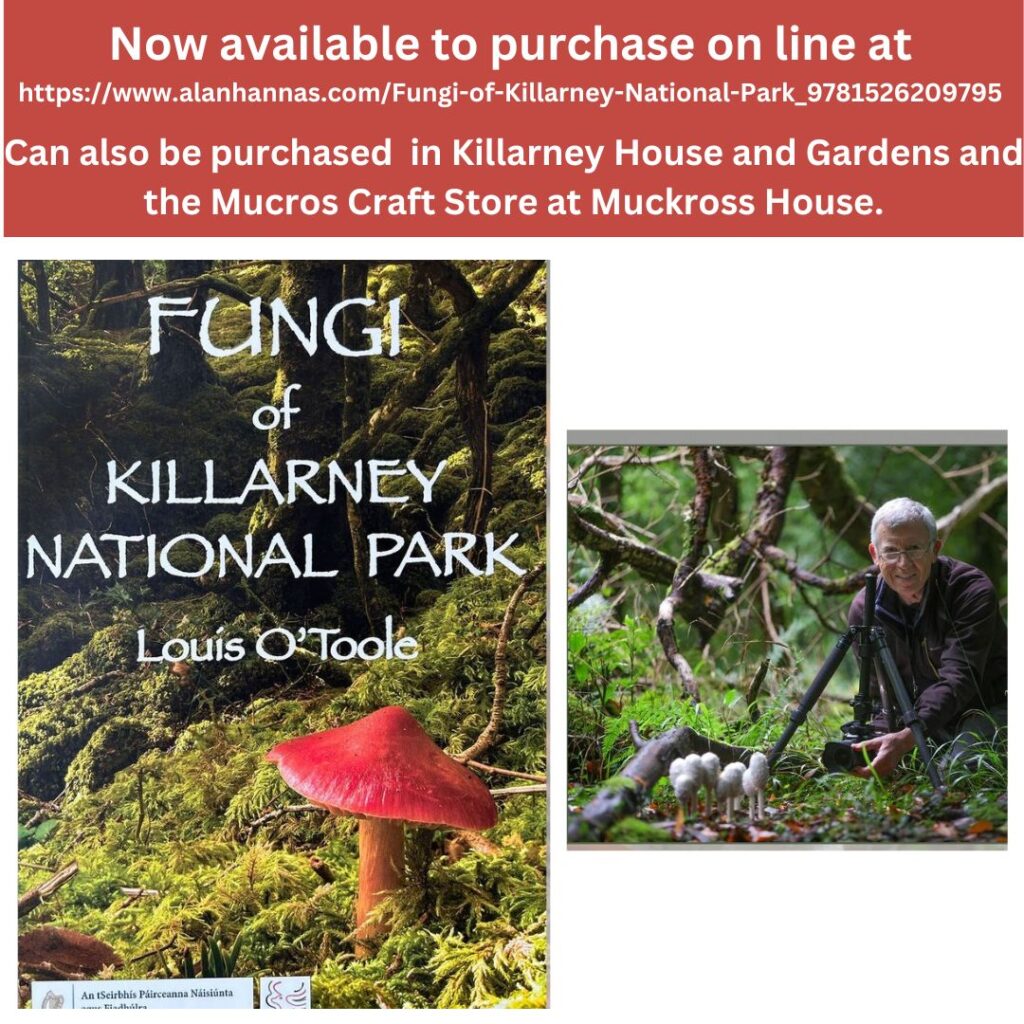 Fungi of Killarney National Park Book - Now Available