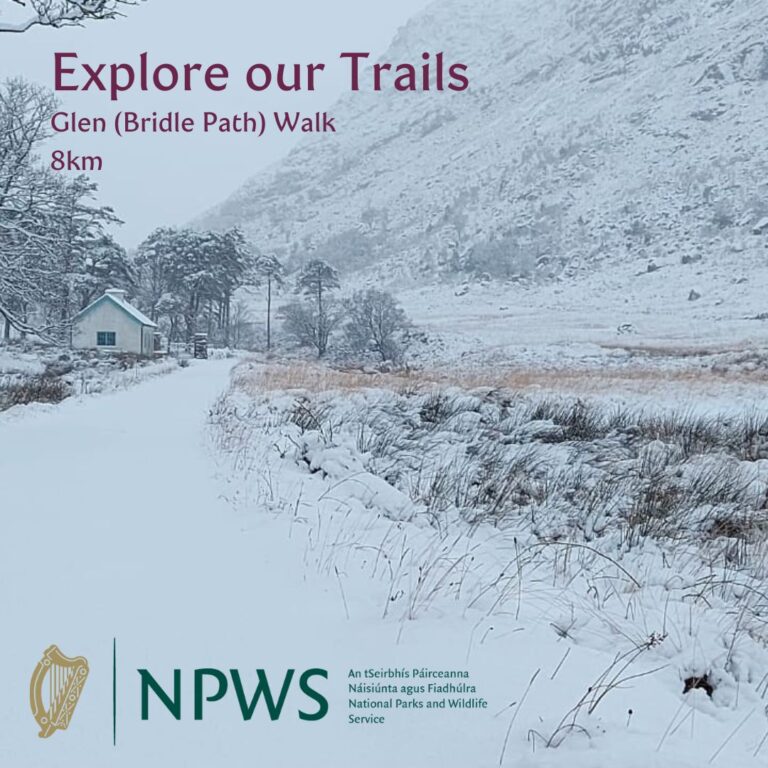 NPWS Glen Walk 8km