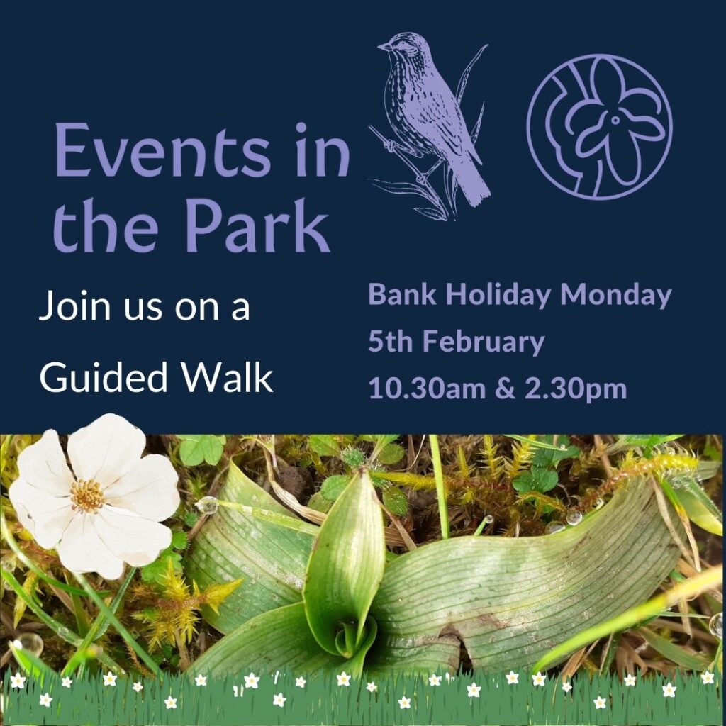 Events in the Park Guided Walk 5 February 2024