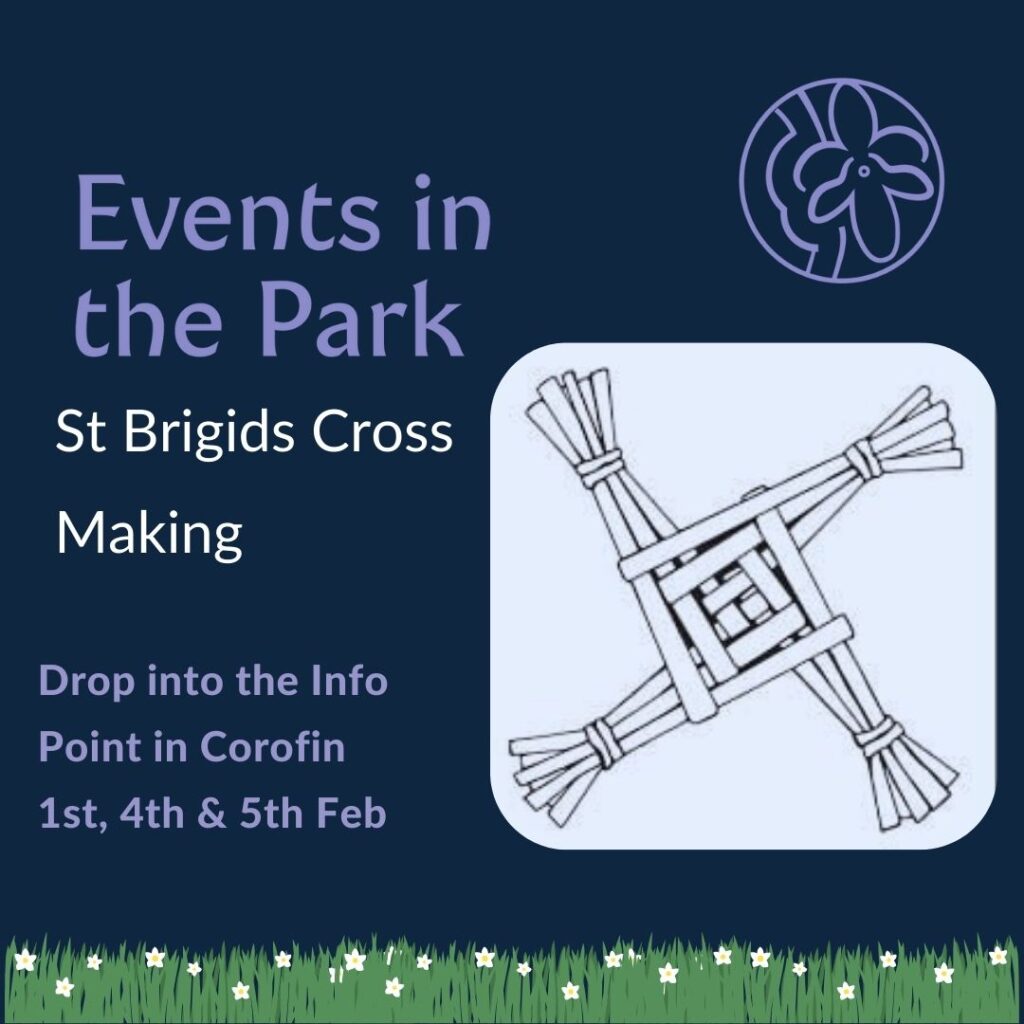 Events in the Park St Brigids Cross making