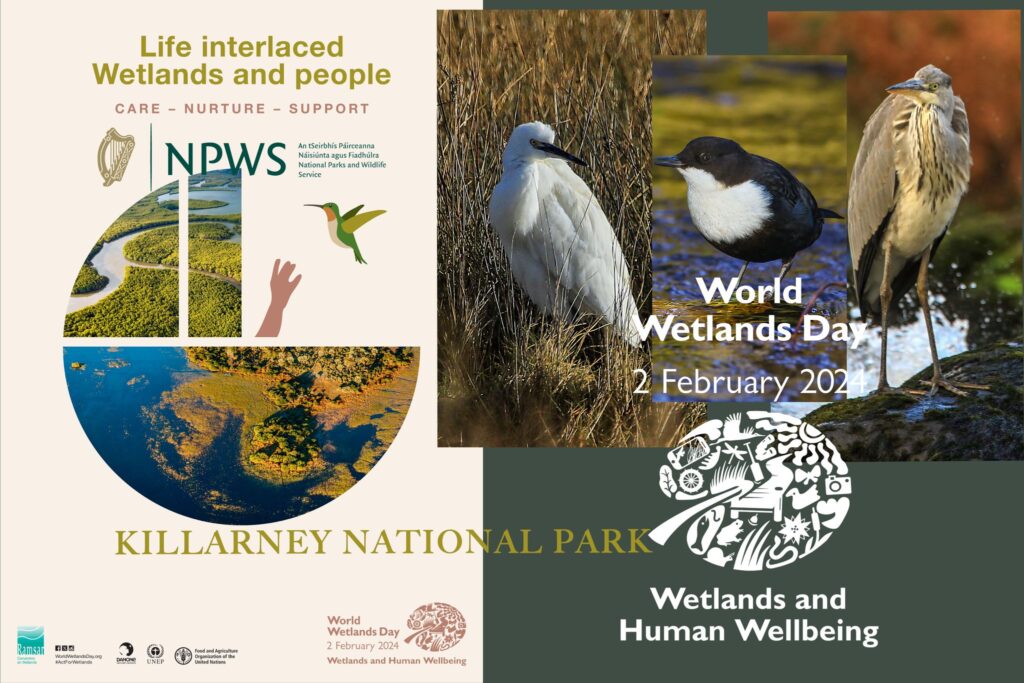 World Wetlands Day Education Centre Walk Leaflet